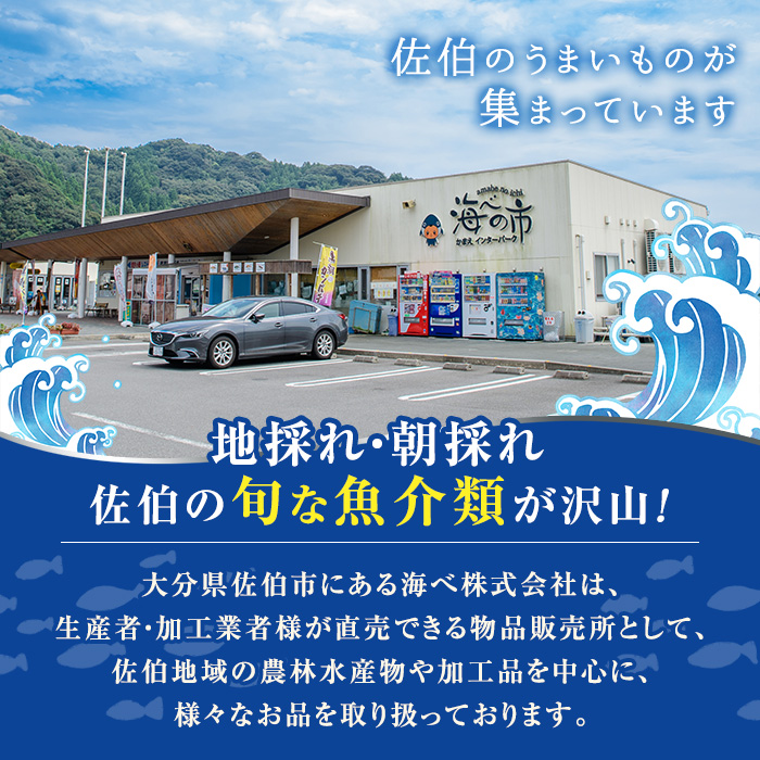 ＜先行予約受付中！2024年12月以降順次発送予定＞冷凍便でお届け！美人鰤のお刺身セット (計4食分) 刺身 ブリ 鰤 養殖 冷凍 海の直売所 大分県 佐伯市【AS142】【海べ (株)】