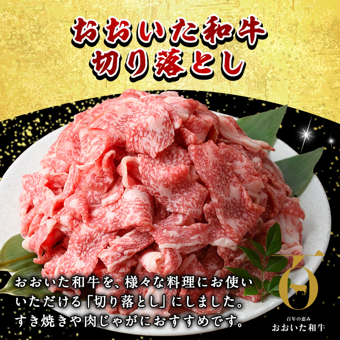 おおいた和牛 切り落とし (計1kg ・500g×2P)  国産 牛肉 肉 霜降り A4 A5 黒毛和牛 すき焼き しゃぶしゃぶ 焼肉 和牛 豊後牛 ブランド牛 冷凍【HE01】【(株)吉野】