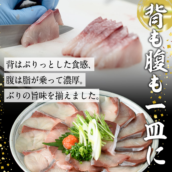 特製ごまだしで食べる！ブリしゃぶセット (合計400g・佐伯産かぼすぶり200g・献上品ぶり200g) 魚 さかな 鰤 鰤しゃぶ ぶりしゃぶ スライス 養殖 冷凍 お取り寄せ 【AQ95】【(株)やまろ渡邉】