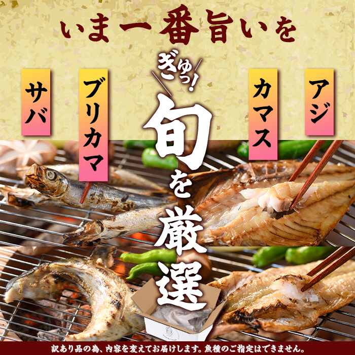 ＜訳あり＞ 厳選 干物 お試し版 (総量10枚) 簡単 調理 干物 あじ かます さば ぶり ぶりかま 開き 魚 海鮮 冷凍 詰め合わせ 大分県 佐伯市 やまろ渡邉【DL33】【鶴見食賓館】