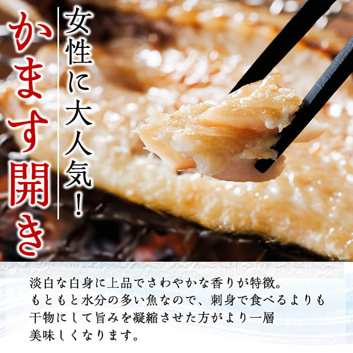 ＜定期便・全4回＞ギフト用品質！九州産 ひもの 季節の 定期便 (総計35枚) 定期 干物 鯛 かます さば サバ あじ アジ 開き 魚 海鮮 冷凍 ひもの 小分け 惣菜 おかず セット ギフト 贈り物 大分県 佐伯市【DH301】【ネクサ】