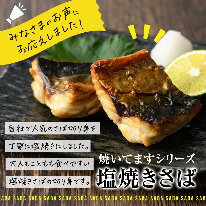 ïŒ èš³ãã ïŒ å¡©çŒããµã åã身(èš22åã»2åå
¥ãÃ11è¢) ããã ãã€ãŸã¿ å°åã åå
è£
é¯ åã身 å身 骚åã 骚æã æž©ããã ã ç°¡å調ç èªç¶è§£å åœç£ å·å ãåŒåœ æ£è ãæ£è çŒãé å¡©é¯ å¡©ãµã çŒããŠãŸãã·ãªãŒãº ãDL24ããé¶ŽèŠé£è³é€šã