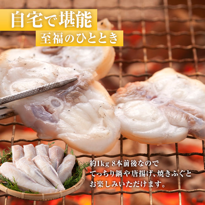 ＜訳あり・業務用＞とらふぐ 身欠き上身 (計約1kg) 極みフグ 冷凍 ふぐ ふぐ鍋 焼ふぐ 唐揚げ てっちり鍋 お取り寄せ 鮮魚 養殖 国産 大分県 佐伯市【DK16】【(有)エイコー水産】