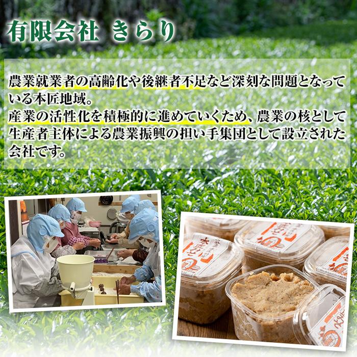 因尾茶 ティーバッグ (計66個・22個入×3袋) お茶 緑茶 茶 煎茶 ティーバッグ 釜炒り 因美茶 特産品 お取り寄せ 大分県 佐伯市【AH67】【(有)きらり】