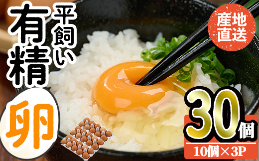 産直・平飼い有精卵 (計30個) 卵 玉子 卵かけご飯 玉子焼き 平飼い 鶏 鶏卵 養鶏場直送 朝採れ 新鮮 大分県 佐伯市 【HM01】【佐伯養鶏場】