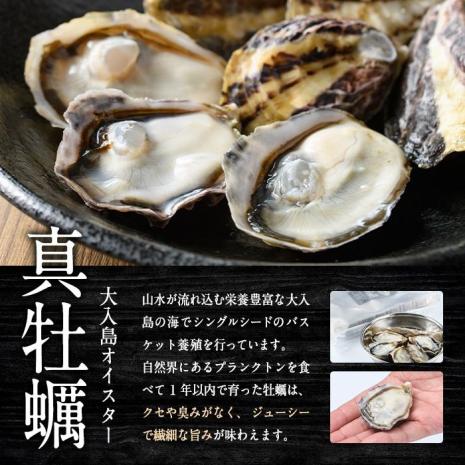 真ガキ 大入島オイスター (約2.6kg) 牡蠣 カキ 貝 海鮮 魚介類 冷蔵 生食可 シングルシード 養殖 大分県 佐伯市【ED09】【(合)新栄丸】