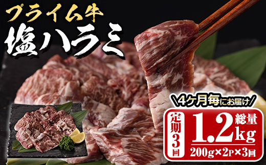 ＜定期便・全3回 (4か月ごとの発送)＞プライム牛 塩ハラミ(総量1.2kg) 定期便小分け 牛肉 肉 ハラミ 牛はらみ 味付け 焼肉 塩 BBQ 冷凍 大分県 佐伯市【DH321】【ネクサ】
