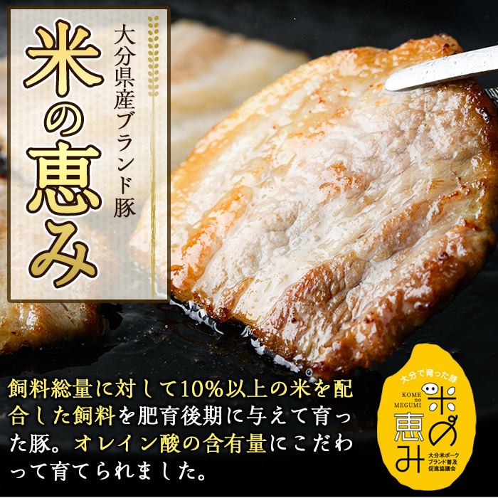 ＜訳あり＞厳選焼肉お試しセット (合計410g・5種) おおいた和牛 アイオワプレミアム 牛タン 米の恵み 豚バラ 焼肉 牛肉 肉 豚肉 赤身 カルビ 希少部位 低温熟成 和牛 ブランド牛 BBQ 冷凍 大分県 佐伯市【DH263】【(株)ネクサ】