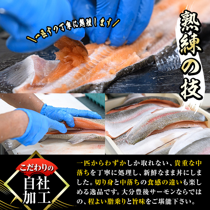 大分豊後サーモン 切り身(5P)+中落ち丼(1P)セット 魚 鮮魚 切身 中落ち 丼 冷凍 佐伯 養殖 食べ比べ 国産 大分県 佐伯市【EA28】【(株)トーワ】