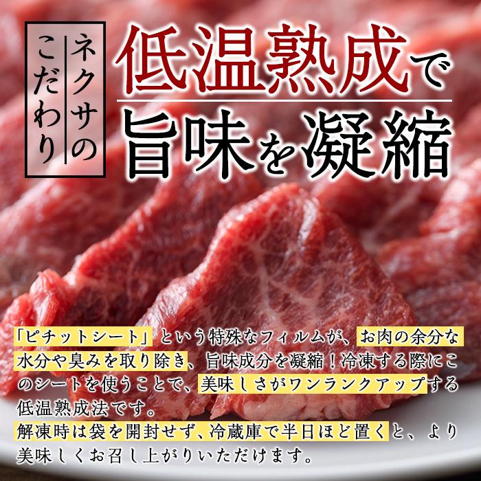 ＜定期便・全4回)＞おおいた和牛 低温熟成 赤身 焼肉 お楽しみ 定期便 (3ヶ月ごとにお届け) 国産 牛肉 肉 霜降り A4 和牛 ブランド牛 冷凍 大分県 佐伯市【DH245】【(株)ネクサ】