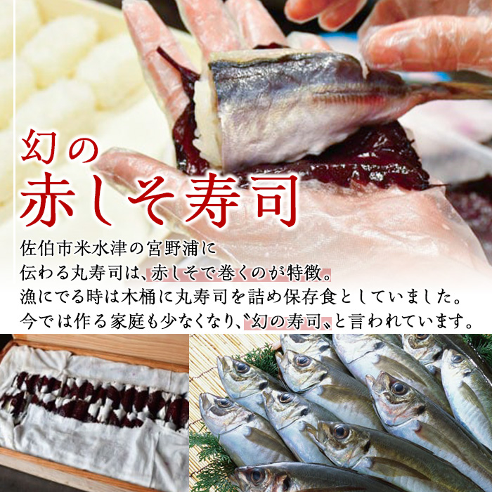 赤しそ寿司 (4-5貫入り×4セット) 鯵 あじ しそ 寿司 すし 名物 お土産 冷凍 惣菜 おつまみ 手作り 冷凍寿司 大分県 佐伯市【DH231】【(株)ネクサ】