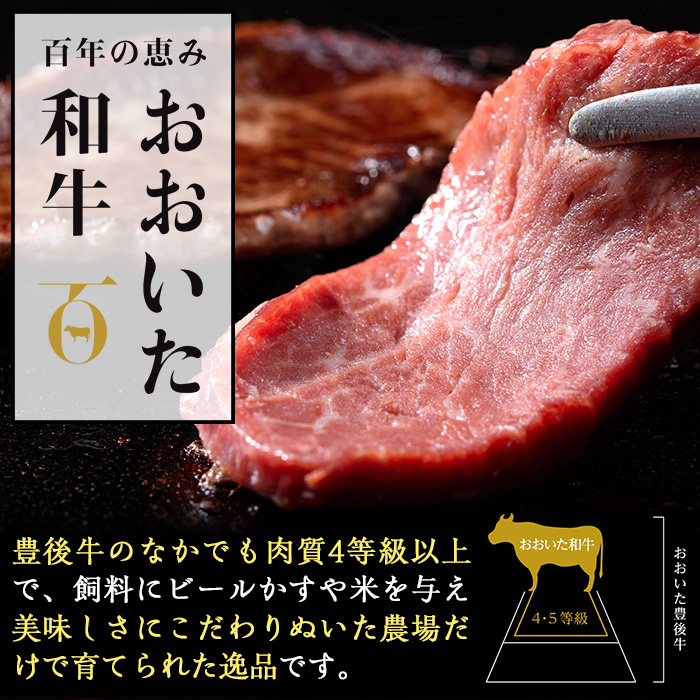 ＜訳あり＞厳選焼肉お試しセット (合計410g・5種) おおいた和牛 アイオワプレミアム 牛タン 米の恵み 豚バラ 焼肉 牛肉 肉 豚肉 赤身 カルビ 希少部位 低温熟成 和牛 ブランド牛 BBQ 冷凍 大分県 佐伯市【DH263】【(株)ネクサ】