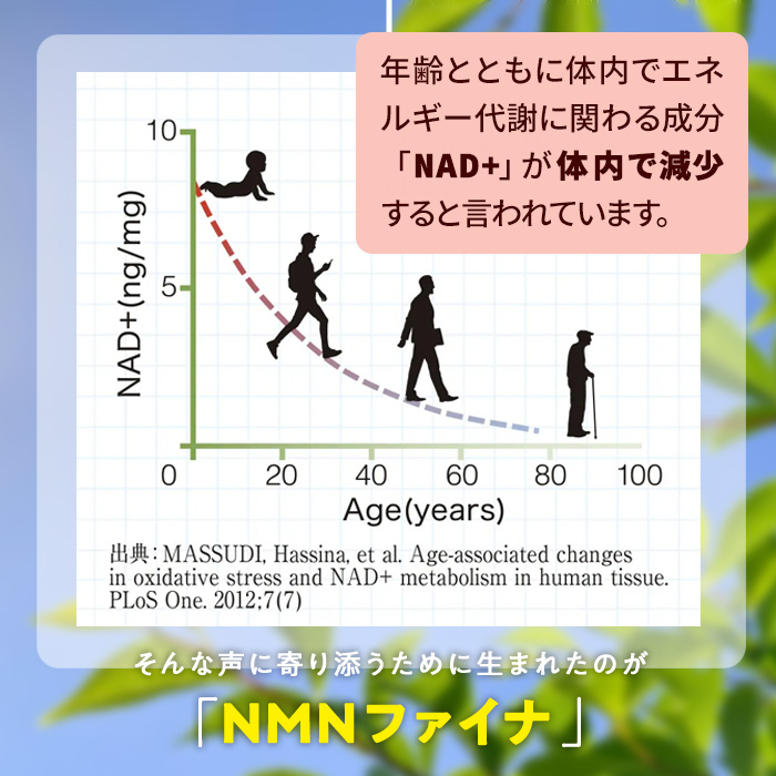 ＜1回配送＞完全国内生産のNMNサプリメント「NMNファイナ」12箱（約360日分・2160粒) 健康サポートサプリメント NMN 大分県 佐伯市 【GM005】【三菱商事ライフサイエンス (株)】