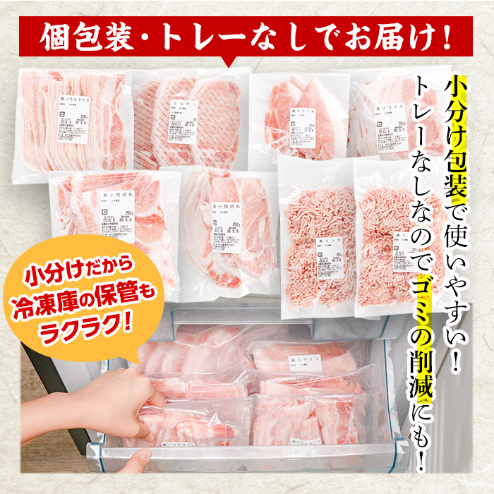 ＜定期便・全3回 (連続)＞ 豚肉 バラエティーパック (総量6kg・5種)豚バラ しゃぶしゃぶ 鍋 とんかつ ロース 小分け 個包装 豚こま 小間切れ スライス ミンチ セット 詰め合わせ 冷凍 食べ比べ 国産 大分県 佐伯市【BD321】【西日本畜産】