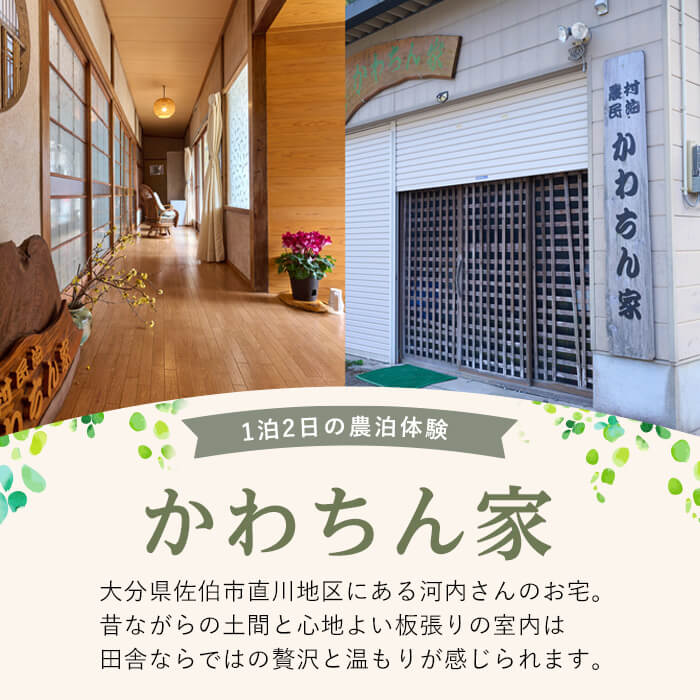 蟲æ³äœéšã»ããã¡ãå®¶ ãã¢1æ³2é£(ãã¢ãã±ãã) äœéš 宿æ³äœéš ãã±ãã æ°æ³ å®¿æ³ èŸ²æ é£äºä»ã 倧åç äœäŒ¯åžãHD243ãããããæ¬è åäžå ã