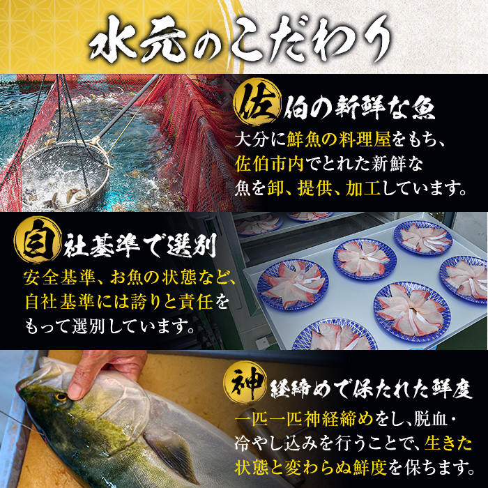 大分県産 ハマチ刺身セット (計400g・ハマチ100g×4皿、醤油ダレ30ml×4個) ハマチ 刺身 鮮魚 冷凍 養殖 国産 大分県 佐伯市【GO005】【(株)水元】