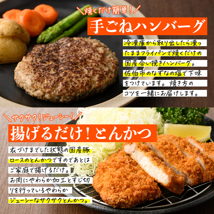 ＜定期便・全3回＞下ごしらえ済みおかず バラエティーセット 4種 (4ヶ月ごとにお届け) 肉 魚 ハンバーグ からあげ 唐揚げ とんかつ あじフライ 冷凍 惣菜 お弁当 簡単 時短 定期便 【DH277】【(株)ネクサ】