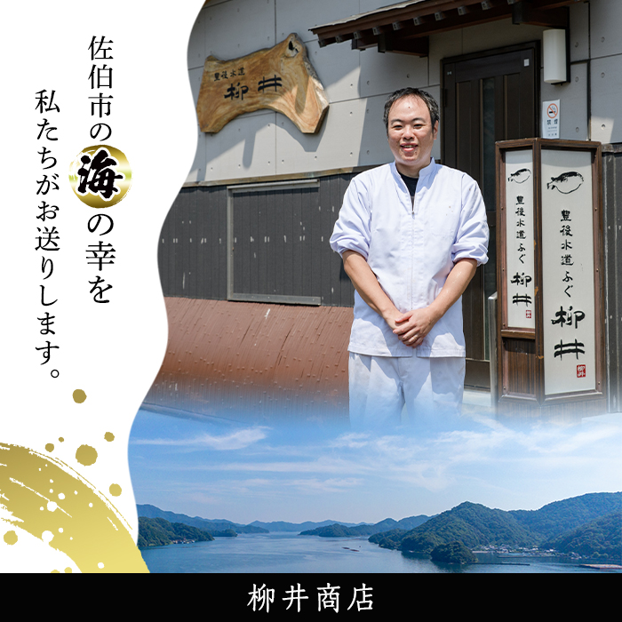 ＜ 訳あり ・ 簡易包装 ＞ ふるさと納税限定 冷凍 豊後 とらふぐ刺身・コンパクト 真空 パック 皿無し (4-5人前) とらふぐ ふぐ フグ ふぐ刺し フグ刺し ふぐ刺身 フグ刺身 刺身 冷凍 厚切り 養殖 国産 ふぐさし 【AB228】【柳井商店】
