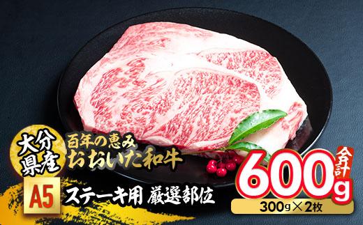 百年の恵み おおいた和牛 A5 ステーキ用 厚切り 厳選部位 (計600g・300g×2枚) 国産 牛肉 肉 霜降り ロース 肩ロース サーロイン 和牛 ブランド牛 ステーキ 冷凍 【FS10】【 (株)トキハインダストリー】