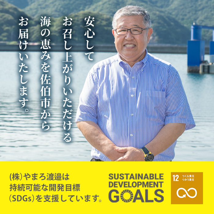 ＜定期便・全12回 (毎月)＞訳あり 干物大満足BOX (480尾以上)定期便 簡単 調理 干物 あじ かます さば いわし みりん干し 丸干し 開き 魚 海鮮 冷凍 詰め合わせ セット 大分県 佐伯市【AQ91】【やまろ渡邉】