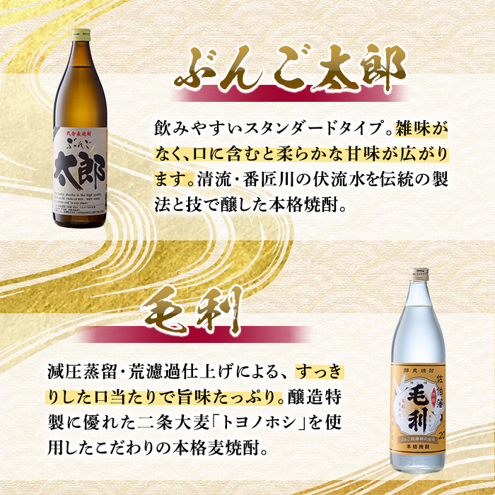 ＜定期便・全6回 (連続)＞大分麦焼酎飲み比べセット (900ml×4本×6回)  大分県産 国産 毛利 ぶんご太郎 さいき小町 むぎゅ ご当地 お取り寄せ 焼酎 麦 ハイボール 糖質ゼロ 20度 セット 4本 大分県 佐伯市【AN107】【ぶんご銘醸 (株)】