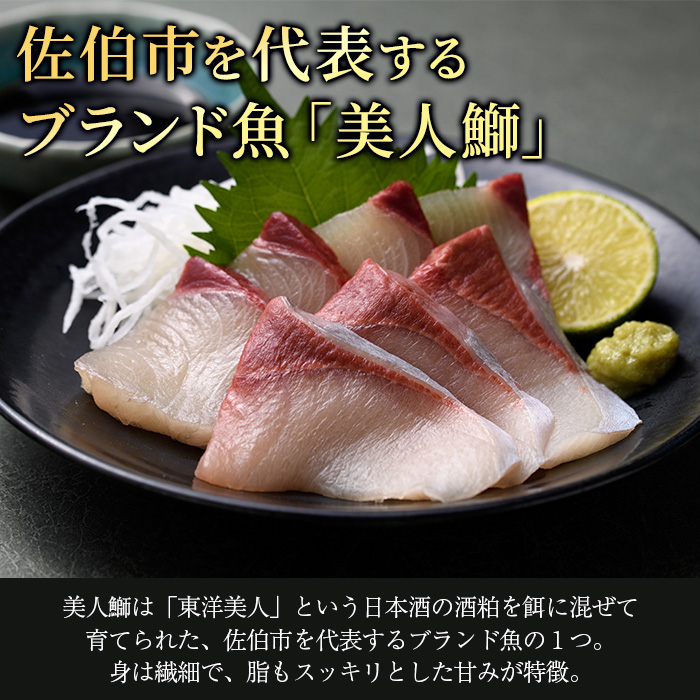 倧åçç£ çŸäººé°€ åºèº«ã»ããã¶ããã¶ã»ãã (åèš560gã»åºèº«100gÃ2ç¿ãããã¶ããã¶180gÃ2ç¿ã逿²¹ãã¬30mlÃ2åããã³é
¢30mlÃ2å) é°€ ã㪠鮮é å·å 逿® åœç£ 倧åç äœäŒ¯åž ãGO009ããæ°Žå
ã