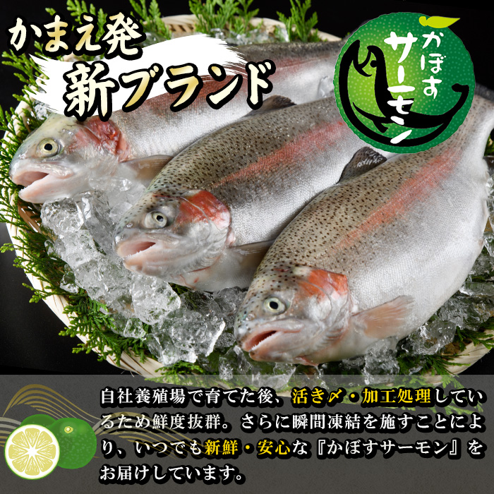 ＜ 期間限定 ＞ 大分 かぼすサーモン 切り身 (計6切) かぼす サーモン 魚 切身 無塩 冷凍 養殖 国産 個包装 大分県 佐伯市【EA33】【トーワ】