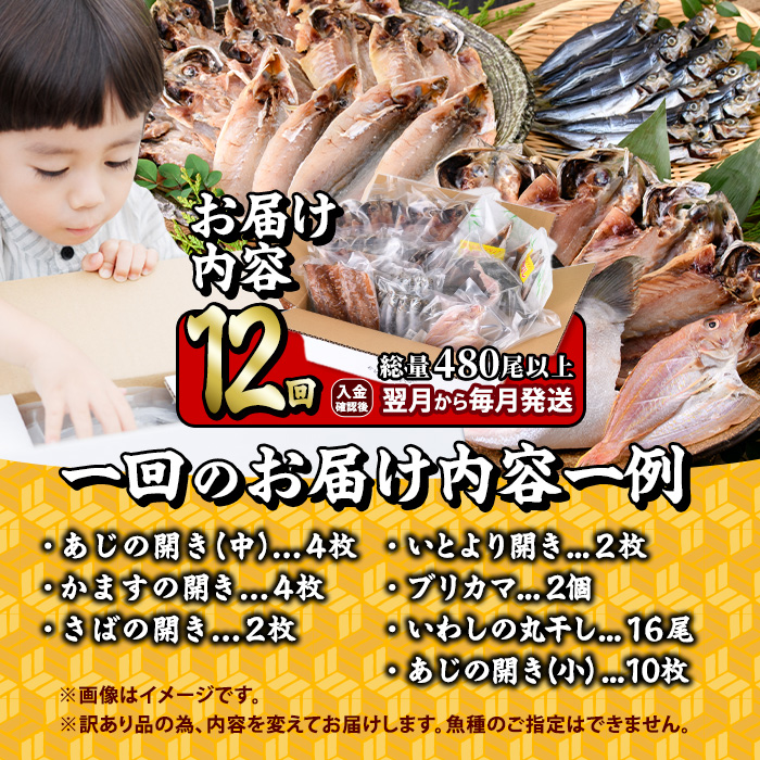 ＜定期便・全12回 (毎月)＞訳あり 干物大満足BOX (480尾以上)定期便 簡単 調理 干物 あじ かます さば いわし みりん干し 丸干し 開き 魚 海鮮 冷凍 詰め合わせ セット 大分県 佐伯市【AQ91】【やまろ渡邉】