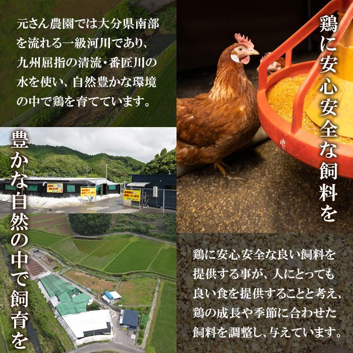 平飼い烏骨鶏のたまご (計10個) 元さん農園 卵 玉子 卵かけご飯 玉子焼き 平飼い 鶏 鶏卵 養鶏場直送 朝採れ 新鮮 大分県 佐伯市 【GE003】【 (株)海九】