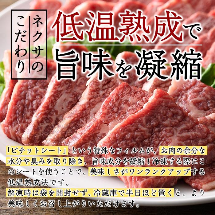 おおいた和牛 特選 焼肉 セット (合計600g・赤身300g+カルビ300g) 国産 牛肉 肉 霜降り 低温熟成 A4 和牛 ブランド牛 カルビ BBQ 冷凍 大分県 佐伯市【DH214】【(株)ネクサ】