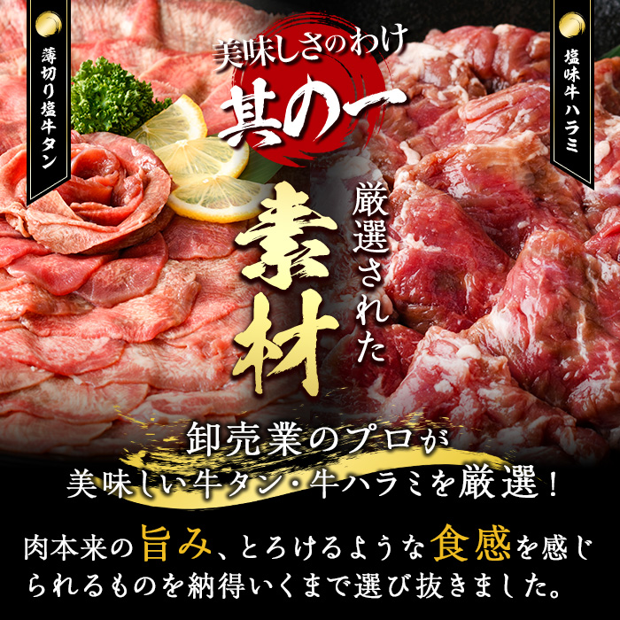 ＜定期便・全3回 (4か月ごとの発送)＞たっぷり！ 薄切り 塩 牛タン・牛ハラミ セット (総量3.6kg) 小分け 牛肉 肉 タン たん ハラミ はらみ 詰め合わせ 味付け 焼肉 BBQ 冷凍 大分県 佐伯市【DH330】【ネクサ】