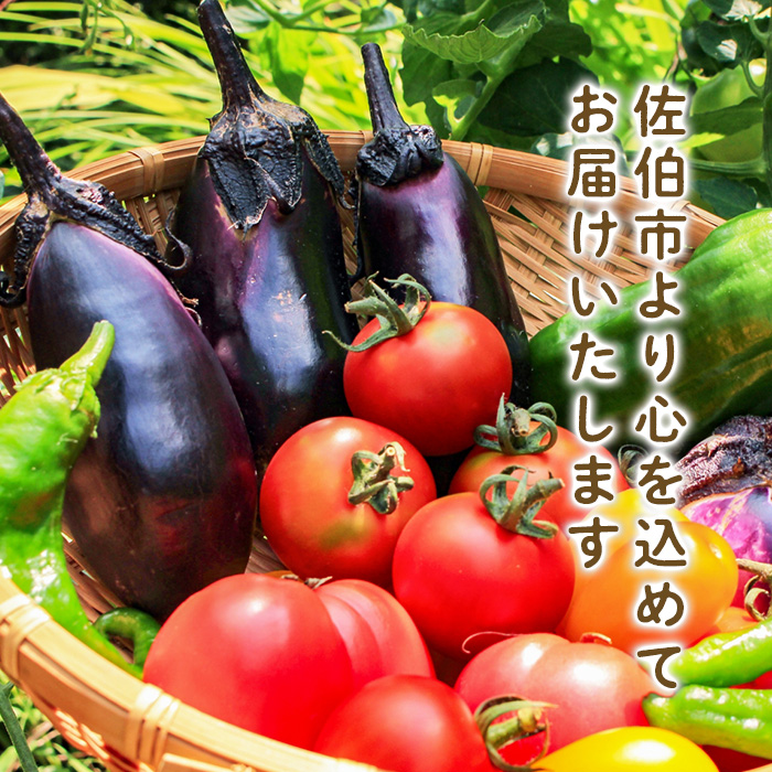 植物活性剤 ファームテック アミノ酢糖(1L・1本)炭水化物 アミノ酸 有機酸 根毛発根促進 葉面散布 オーガニック 農業 野菜 花 大分県 佐伯市【HD230】【さいき本舗 城下堂】