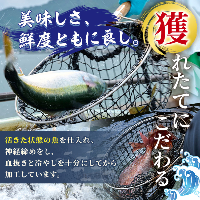 ＜先行予約受付中！2024年12月以降順次発送予定＞冷凍便でお届け！美人鰤のお刺身セット (計4食分) 刺身 ブリ 鰤 養殖 冷凍 海の直売所 大分県 佐伯市【AS142】【海べ (株)】