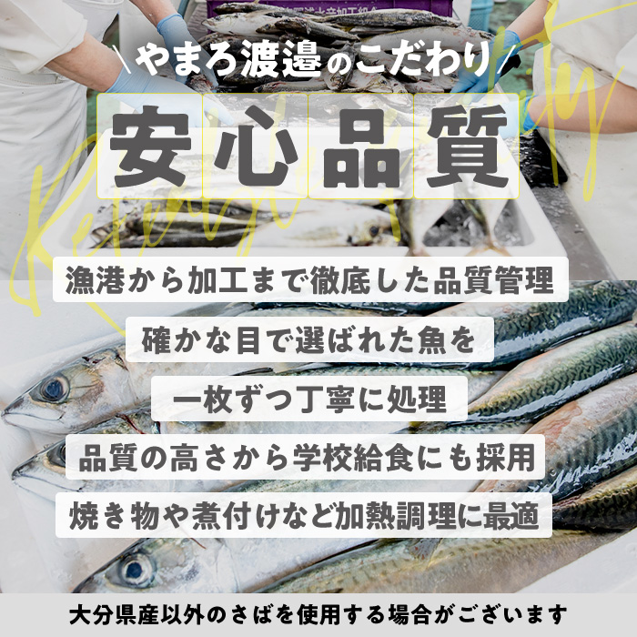 さば フィーレ 無塩 (計2kg・1kg×2袋) サバ 鯖 切り身 フィレ パラパラ冷凍 無塩 国産 便利 簡単 【AQ101】【やまろ渡邉】