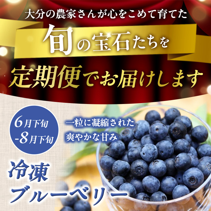 ＜定期便・全4回＞大分県産旬のフルーツ定期便 (4種・総量9kg) ブルーベリー シャインマスカット 温州みかん いちご フルーツ 果物 柑橘 ブドウ デザート 大分県産＜北海道・沖縄・離島配送不可＞ 【DT23】【全国農業協同組合連合会大分県本部】