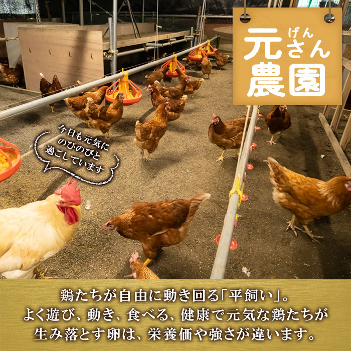 ＜お試し用＞ 平飼い赤鶏のたまご (計10個) 元さん農園 卵 玉子 卵かけご飯 玉子焼き 平飼い 鶏 鶏卵 養鶏場直送送 朝採れ 新鮮 大分県 佐伯市 【GE002】【 (株)海九】