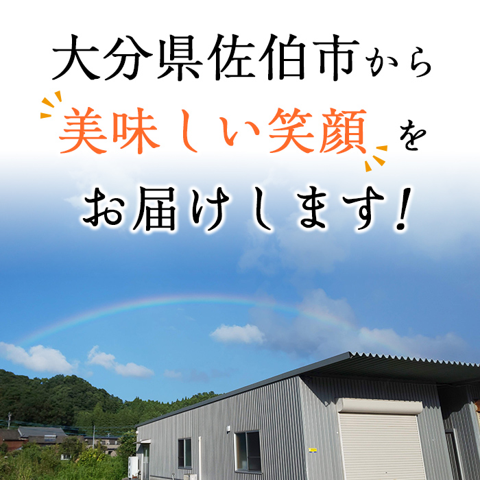 ＜定期便・全4回＞ギフト用品質！九州産 ひもの 季節の 定期便 (総計35枚) 定期 干物 鯛 かます さば サバ あじ アジ 開き 魚 海鮮 冷凍 ひもの 小分け 惣菜 おかず セット ギフト 贈り物 大分県 佐伯市【DH301】【ネクサ】