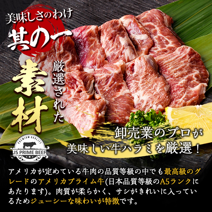 ＜定期便・全6回 (2か月ごとの発送)＞プライム牛 塩ハラミ(総量2.4kg) 定期便 小分け 牛肉 肉 ハラミ 牛はらみ 味付け 焼肉 塩 BBQ 冷凍 大分県 佐伯市【DH322】【ネクサ】