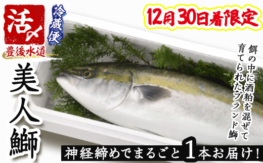 ＜12/30着限定＞神経締めでまるごと1本お届け！美人鰤 (1本・約5kg) 美人ブリ 美人鰤 ぶり ブリ 鰤 神経締め ブランド魚 獲れたて 鮮魚 まるごと 冷蔵 海の直売所 大分県 佐伯市 ＜離島配送不可＞【AS130】【海べ】