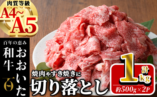 おおいた和牛 切り落とし (計1kg ・500g×2P)  国産 牛肉 肉 霜降り A4 A5 黒毛和牛 すき焼き しゃぶしゃぶ 焼肉 和牛 豊後牛 ブランド牛 冷凍【HE01】【(株)吉野】