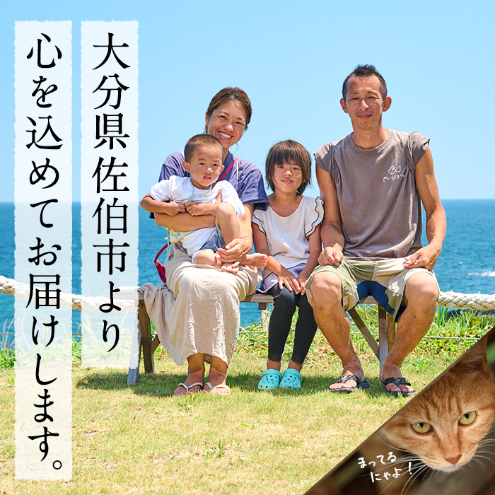 深島の猫へ寄付と深島猫グッズ (Bプラン・計5種) 猫 ネコ ねこ 寄附 カレンダー タオル  大分県 佐伯市【EK10】【でぃーぷまりん】