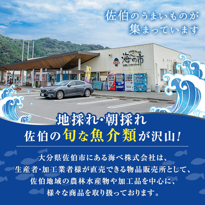 ＜先行予約受付中！2024年12月以降順次発送予定＞冷凍便でお届け！厳選4種のお刺身セット (計4食分) 刺身 ブリ カンパチ シマアジ ヒラメ 養殖 冷凍 海の直売所 大分県 佐伯市【AS141】【海べ (株)】