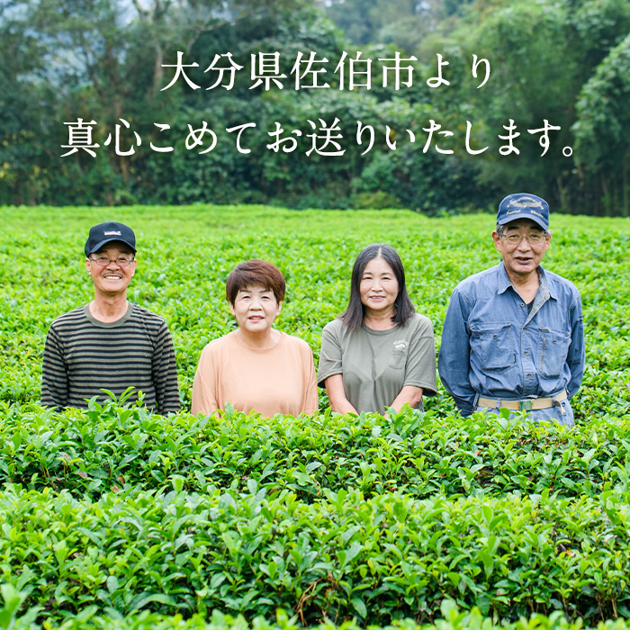 釜炒り 宇目茶・宇目の紅茶セット (合計240g・釜炒り茶120g×2種、紅茶40g×1種) お茶 緑茶 茶 茶葉 釜炒り茶 紅茶 日本茶 大分県産 セット 詰め合わせ 大分県 佐伯市 【FE01】【宇目茶】