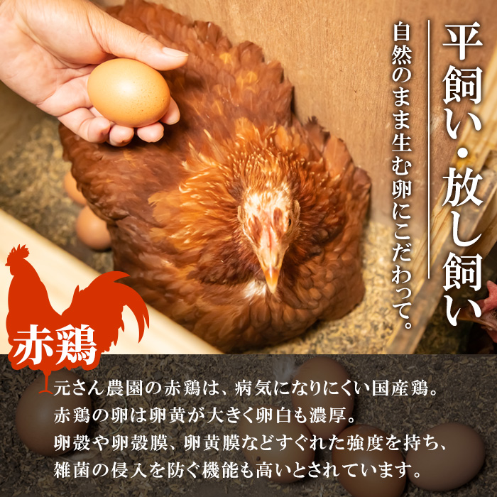 元さん農園 平飼い赤鶏のたまご (計20個・10個×2P) 元さん農園 卵 玉子 卵かけご飯 玉子焼き 平飼い 鶏 鶏卵 養鶏場直送 朝採れ 新鮮 大分県 佐伯市 【GE001】【 (株)海九】