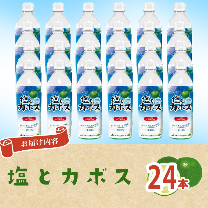 å¡©ãšã«ãã¹(24æ¬) ããŒã ããªã³ã¯ ãžã¥ãŒã¹ æ°Žå å¡©å è£çµŠ ãªããªã®å¡© 倧åçç£ ç¹ç£å 倧åç äœäŒ¯åž é²çœ åžžæž© åžžæž©ä¿åãDT16ããå
šåœèŸ²æ¥ååçµåé£åäŒå€§åçæ¬éšã