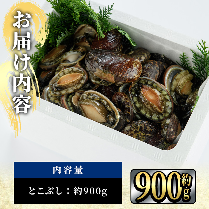 天然 トコブシ (約900g) 鮮魚 魚介 貝 トコブシ とこぶし 酒蒸し 網焼き バター焼き バーベキュー 獲れたて 冷蔵 海の直売所 大分県 佐伯市【AS82】【海べ (株)】