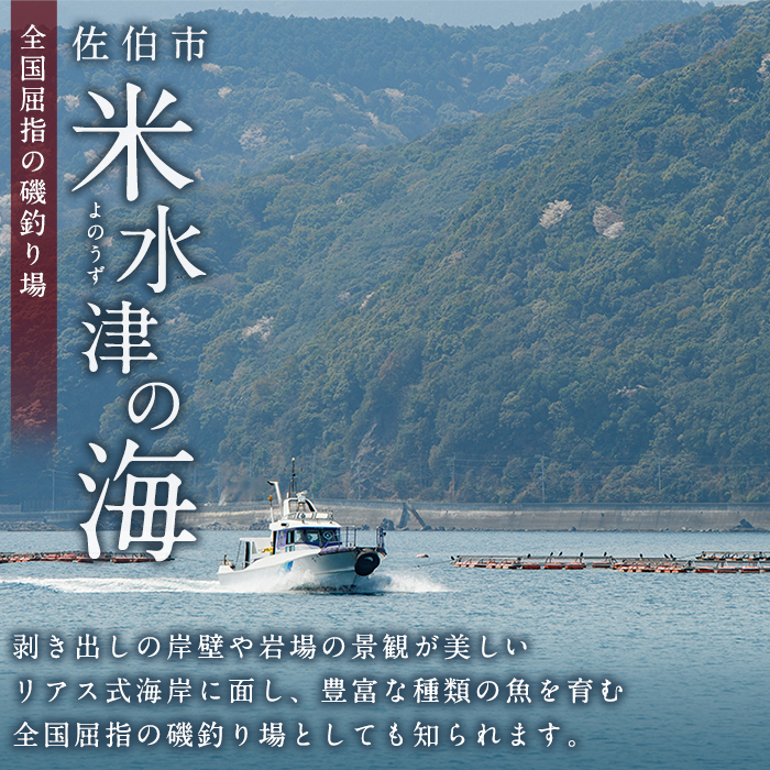 å代䞞 磯é£ã éè¿ ãã±ãã (1åå) é£ã ç¬æž¡ã éè¿åž ãããã ã¢ãŠãã㢠ã¬ãžã£ãŒ ã€ã é 倧åç äœäŒ¯åž 米氎接ãJA01ããå代䞞ã