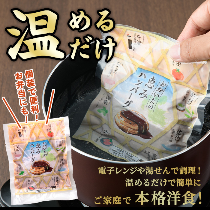 佐伯市の「なずなの塩」使用 !大分の恵みハンバーグ (計約1.6kg・160g×10個) ハンバーグ 冷凍ハンバーグ 合い挽き 小分け 個包装 簡単 湯せん 温めるだけ 冷凍 レトルト おかず 惣菜 【DT05】【全国農業協同組合連合会大分県本部】