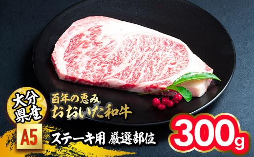 百年の恵み おおいた和牛 A5 ステーキ用 厚切り 厳選部位 (300g) 国産 牛肉 肉 霜降り ロース 肩ロース サーロイン 和牛 ブランド牛 ステーキ 冷凍 大分県 佐伯市 【FS09】【 (株)トキハインダストリー】