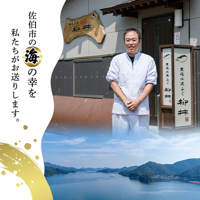 豊後とらふぐ ふぐちり鍋用 (約370g・3-4人前) フグ 鍋 ふぐちり 冷凍 養殖 海鮮 魚介 国産 大分県 佐伯市【AB65】【柳井商店】